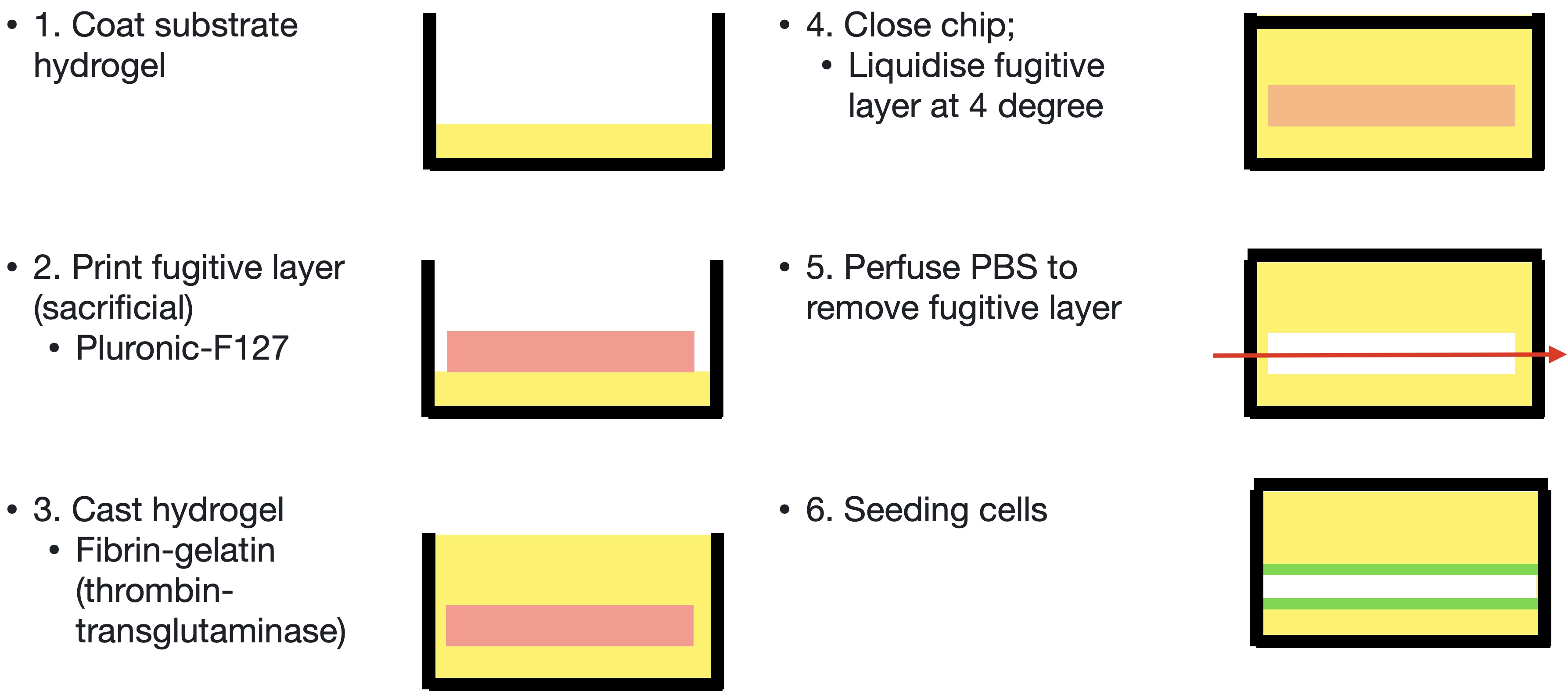 lumen chip display